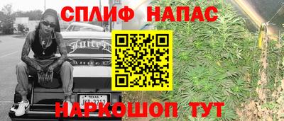 СК Рязань
