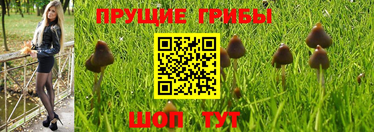 Октябрьский  как найти закладки  Вход с VPN  Галлюциногенные грибы MAGIC MUSHROOMS 
